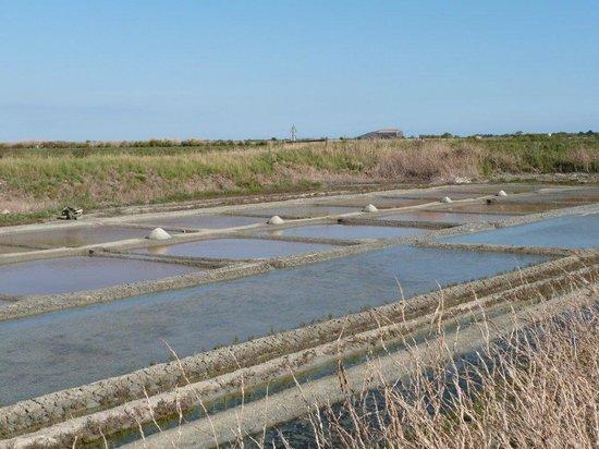 l'Écomusée du Marais Salant de Loix